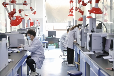 技術咨詢 問題解決與專業服務指南