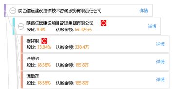 技術(shù)咨詢驅(qū)動(dòng)發(fā)展 陜西信遠(yuǎn)建設(shè)法律技術(shù)咨詢服務(wù)有限責(zé)任公司的專業(yè)實(shí)踐